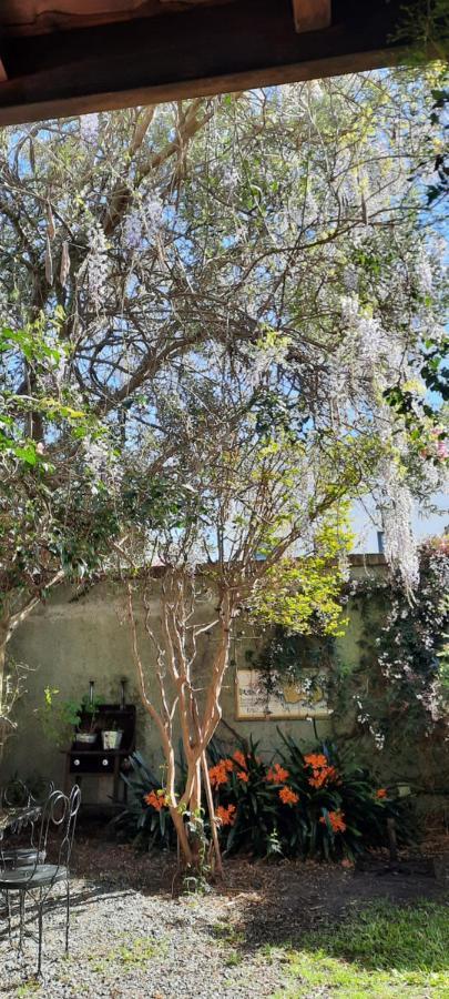 Casa en Barrio Historico Villa Colonia Del Sacramento Exterior foto